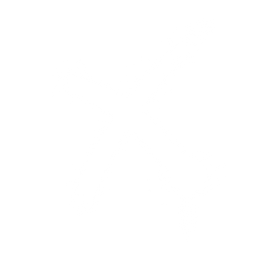 Cross Mark icon