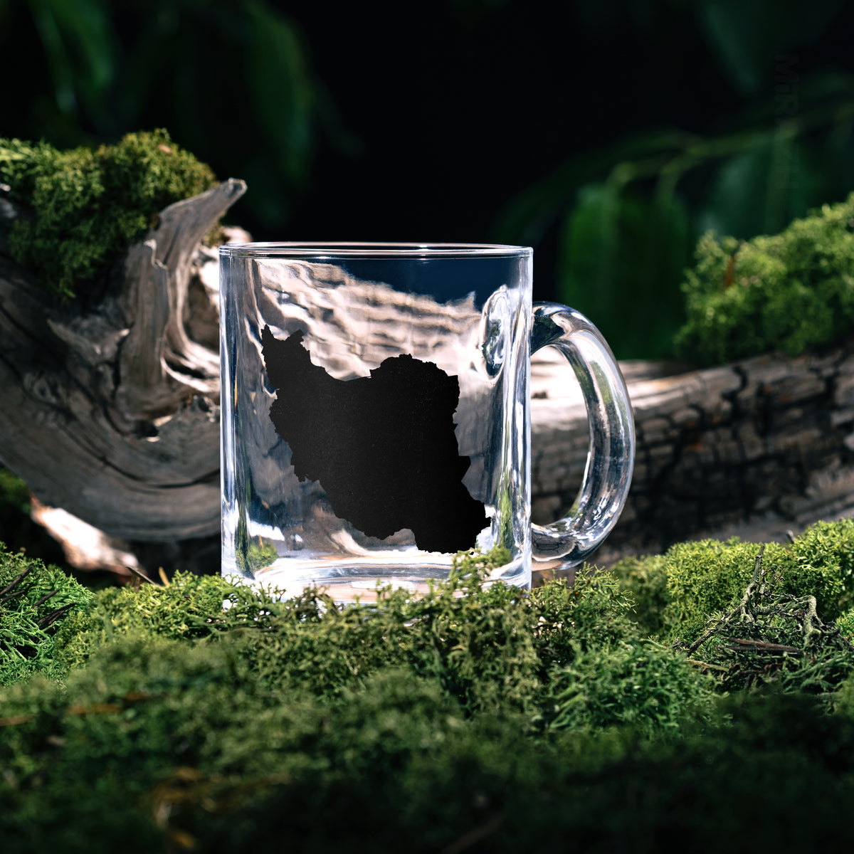 IranCloseWithin Glass Mug 05