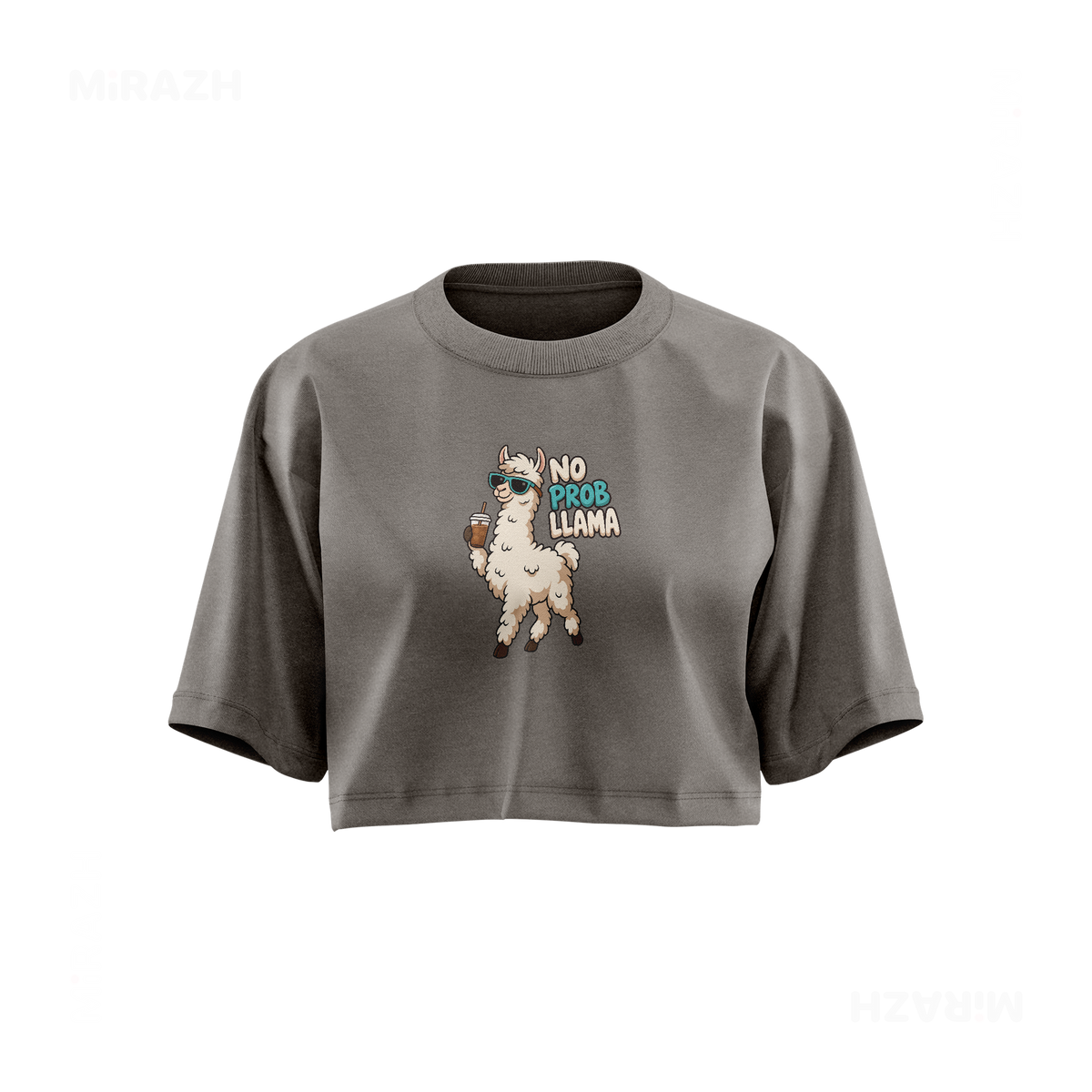 NoProbLlama Over Sized Crop Top 01 Faded Grey