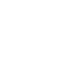 adibash icon