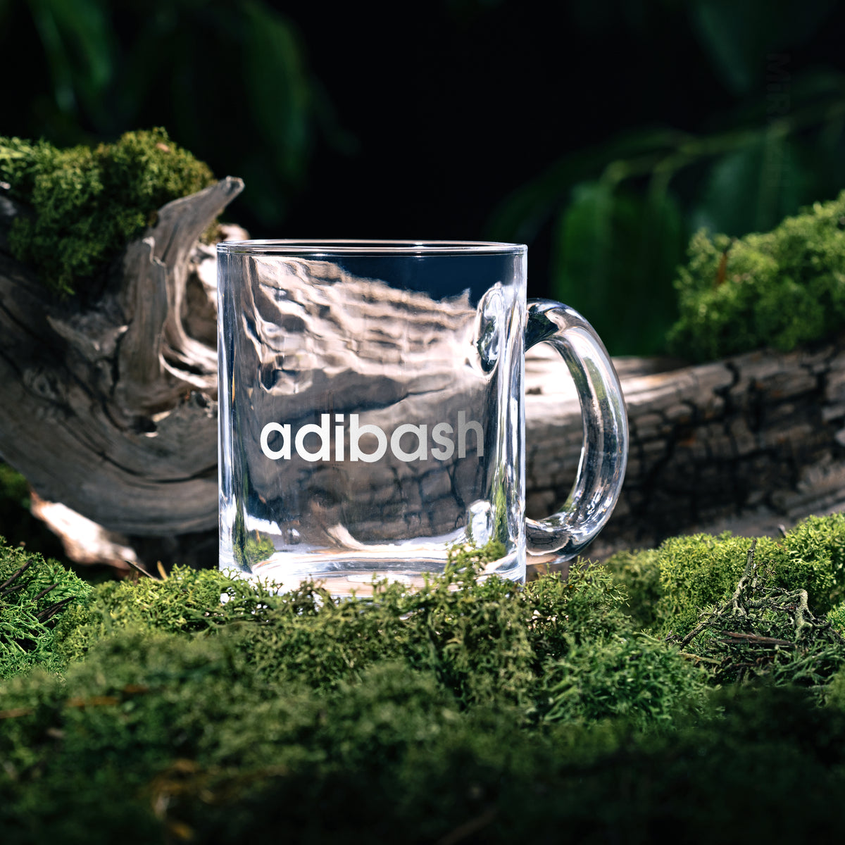 adibash Glass Mug 05