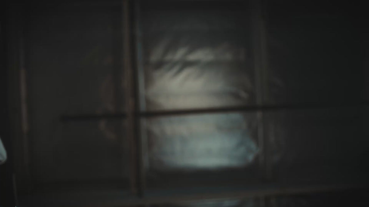 Load video: 